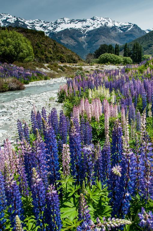 Glenorchy Peaks Bed And Breakfast Екстер'єр фото