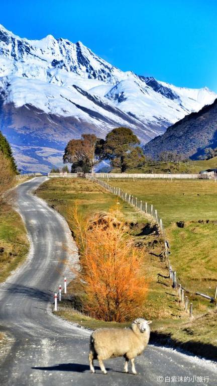 Glenorchy Peaks Bed And Breakfast Екстер'єр фото